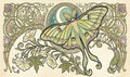 Luna Moth Playmat - 14"x24"
